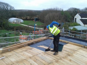 Roof1